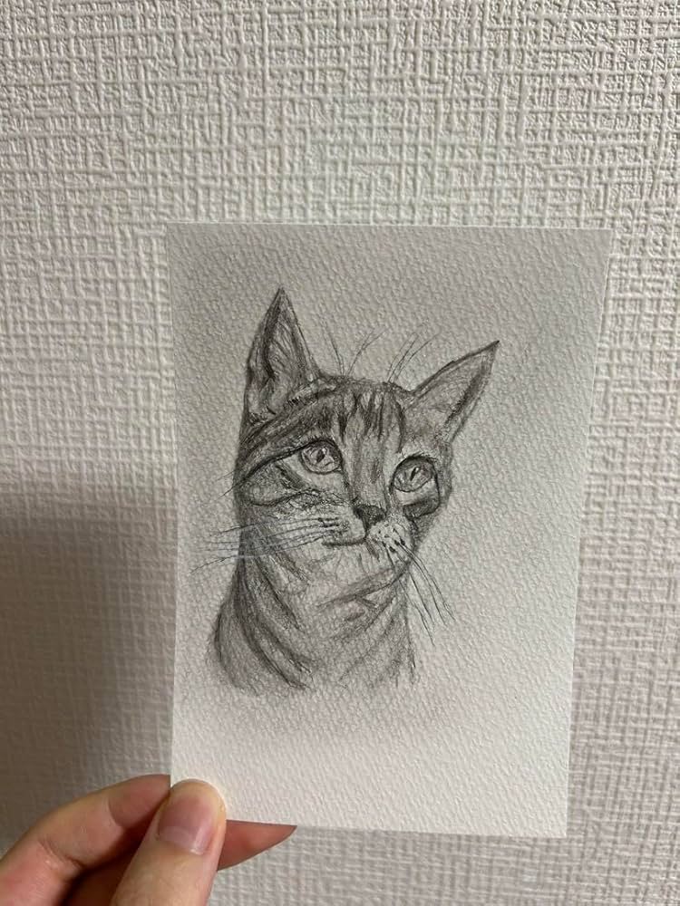 Tetsu　猫　鉛筆画　原画 猫の鉛筆画 原画 額付き 絵画 solaris 通販 3106203｜Creema